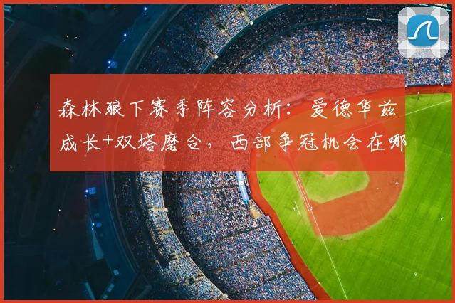 森林狼下赛季阵容分析:爱德华兹成长+双塔磨合,西部争冠机会在哪?