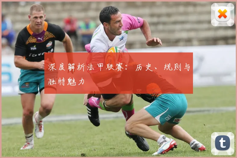 深度解析法甲联赛：历史、规则与独特魅力